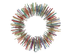 BarChart - radial-weather