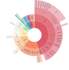 Partition - sunburst